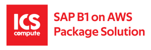 ICS SAP B1 on AWS